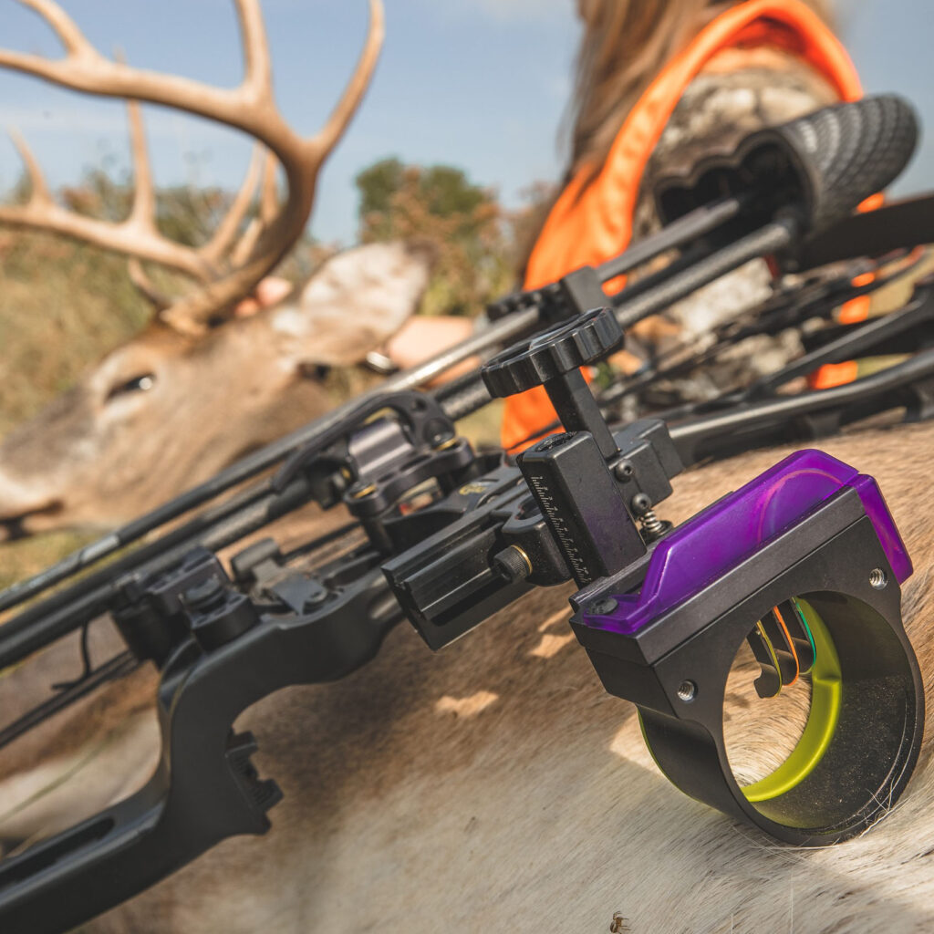 PhotoChromatic Ascent